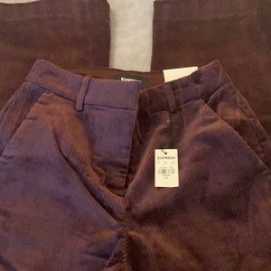 Express brand new pants